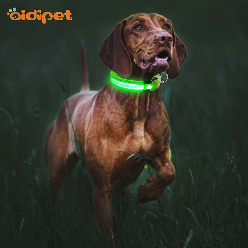 AIDI-Find Glow In The Dark Dog Collar Led Nylon Dog Collar From Aidi-1