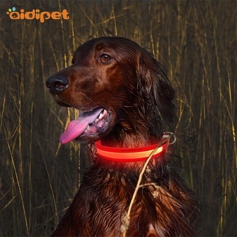 AIDI-Find Glow In The Dark Dog Collar Led Nylon Dog Collar From Aidi