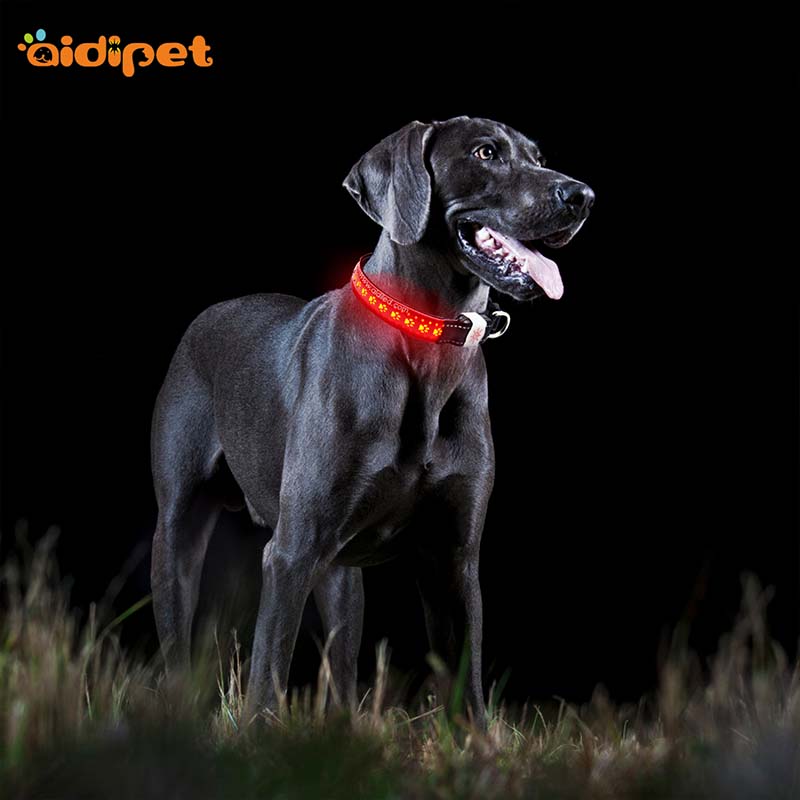 AIDI-C14 Personalized Rechargeable Flashing Led Dog Collar