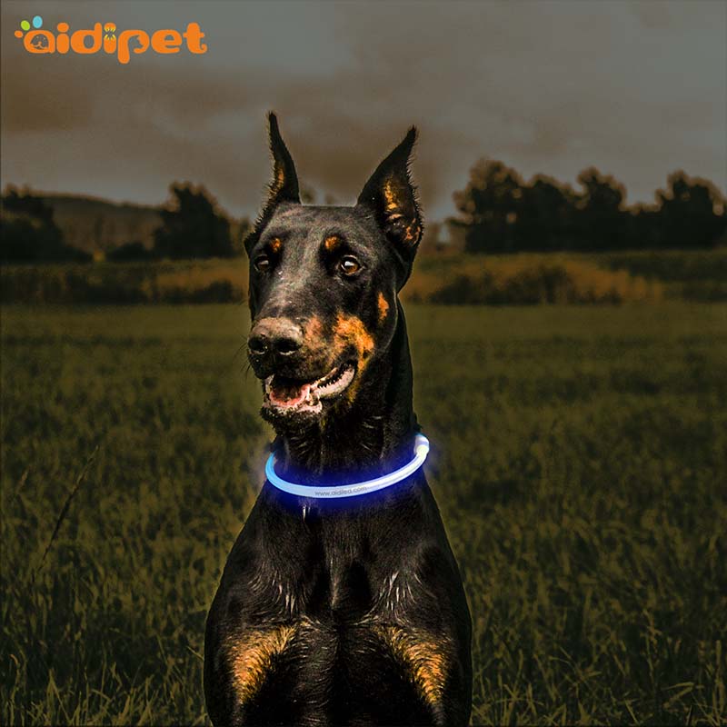 - Aidi-c1 Led Dog Collar-1