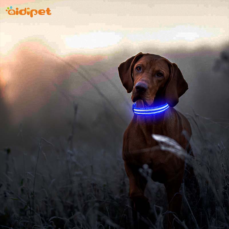 AIDI-Best Light Up Dog Collar | Aidi-c18 Metal Buckles Usb Rechargeable