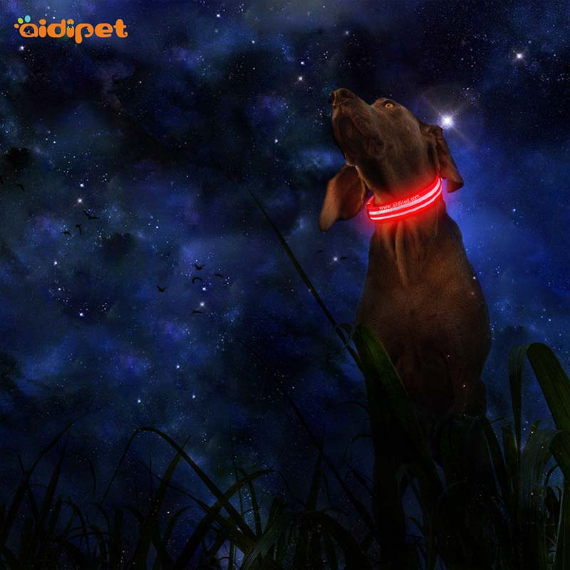 AIDI-Best Light Up Dog Collar | Aidi-c18 Metal Buckles Usb Rechargeable-1