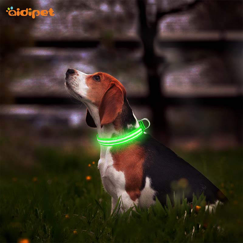 AIDI-Best Light Up Dog Collar | Aidi-c18 Metal Buckles Usb Rechargeable-2