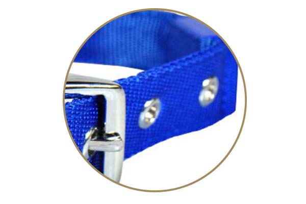 AIDI-Best Light Up Dog Collar | Aidi-c18 Metal Buckles Usb Rechargeable-4