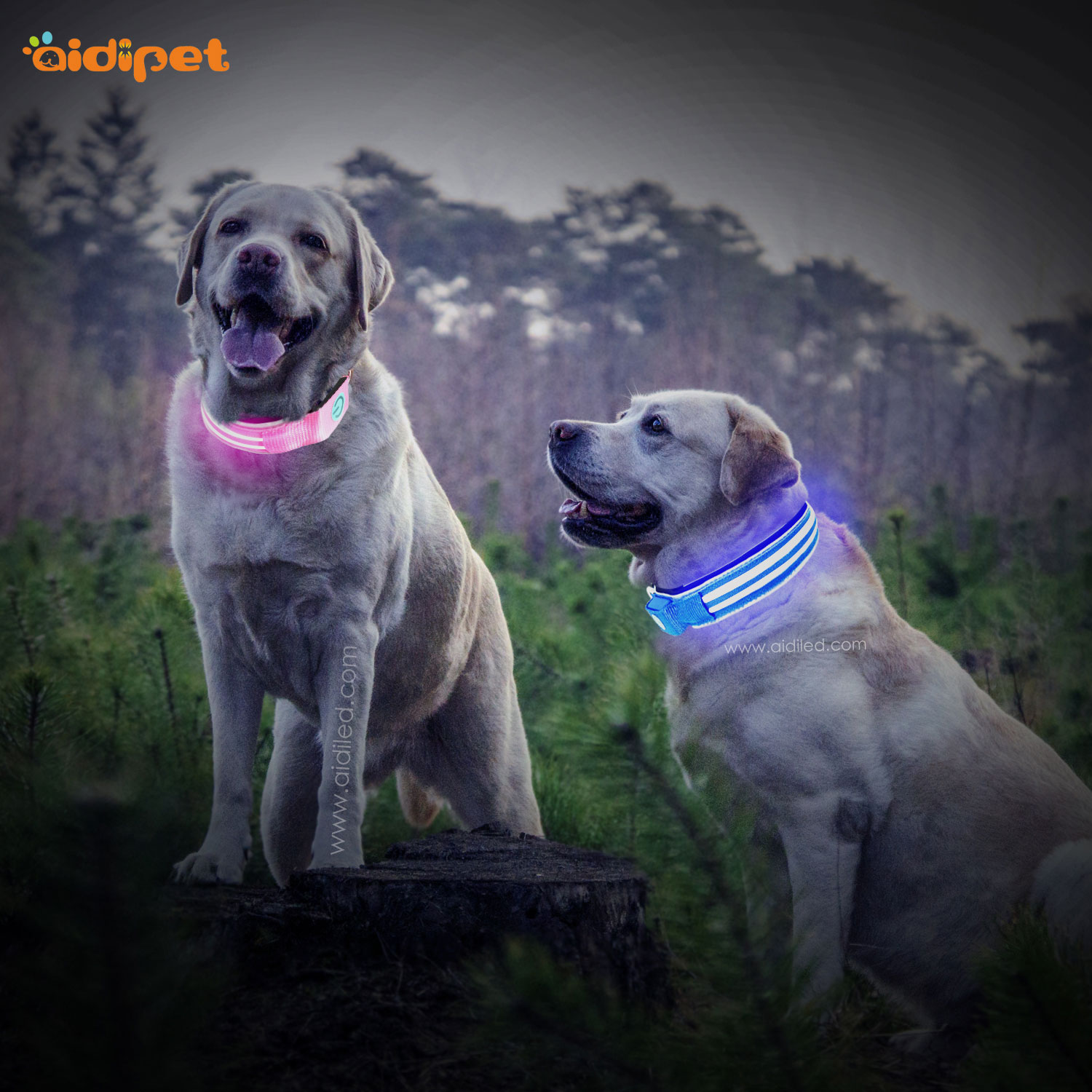 AIDI-C21 Wholesale Pet  Led Dog Collar Safety Light