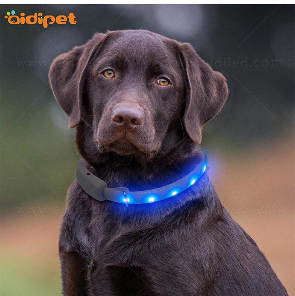 AIDI-Find Glowing Dog Collar Dog Collars With Lights For Night-12