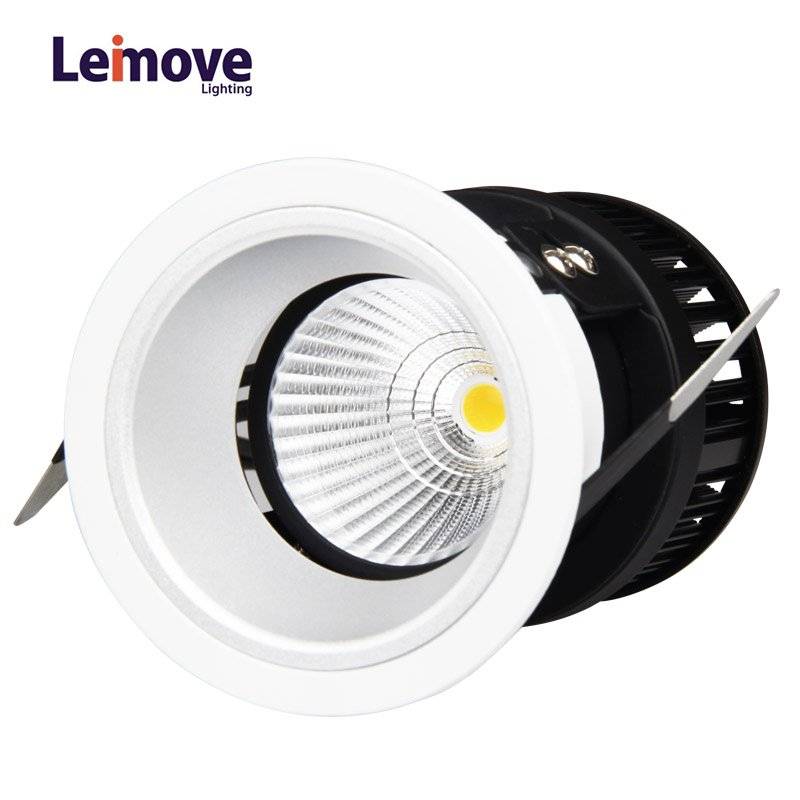 Leimove COB Round Type Decoration Living Room Hot sale Adjustable LED COB 5w Wall Washer Light LM298