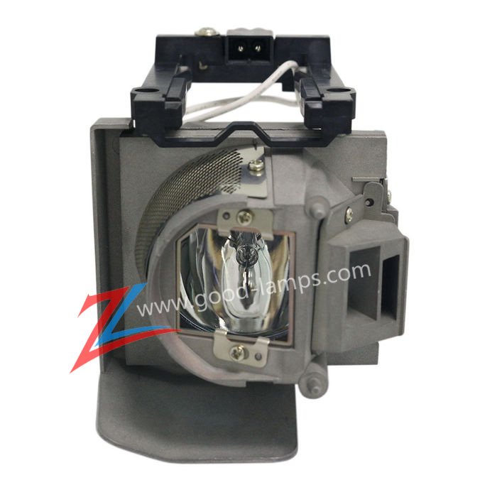 Projector lamp 1020991