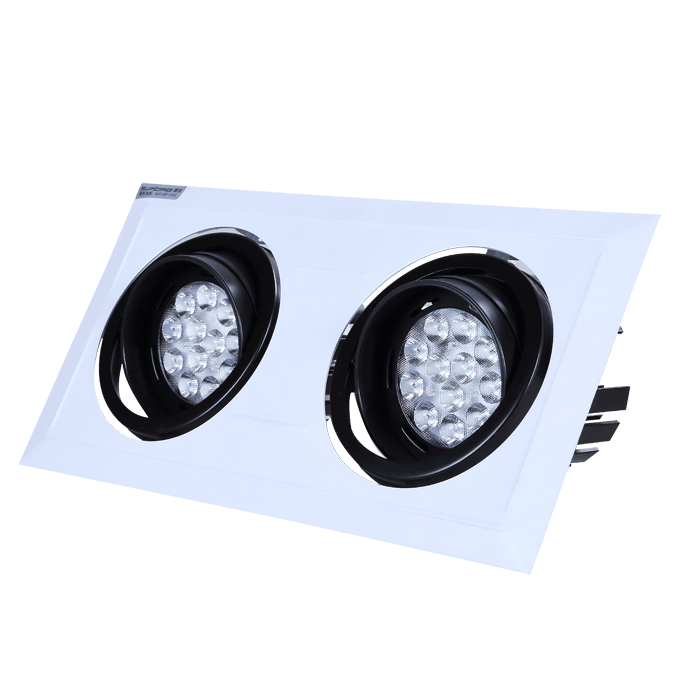 DW023S-2 LED Recessed Light Bulbs