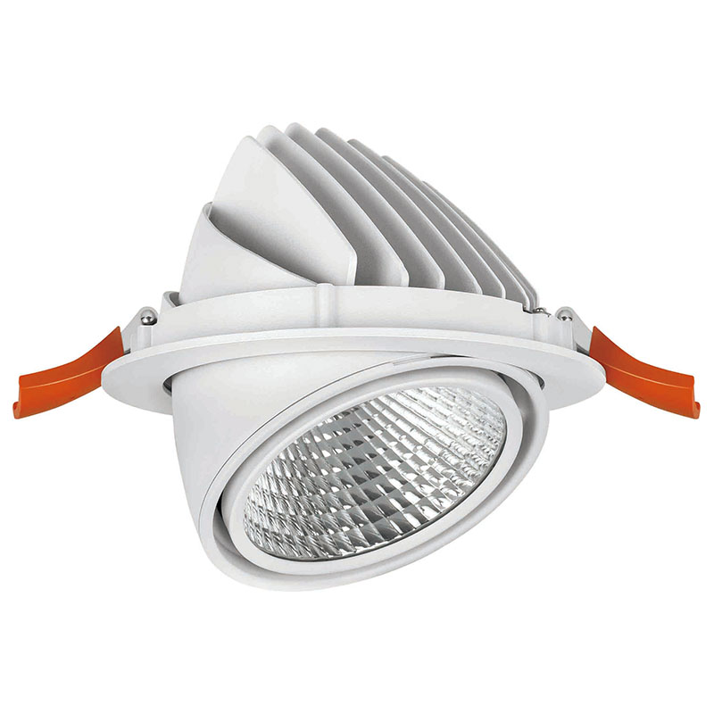 LED down light with flexible head led round downlight 502021-3 MAX 50W