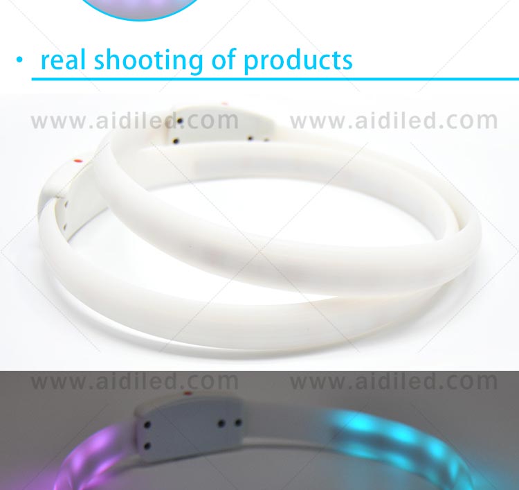 AIDI-Led Light Up Dog Collar, Fish Filament Rechargeable Led Dog Leash-3