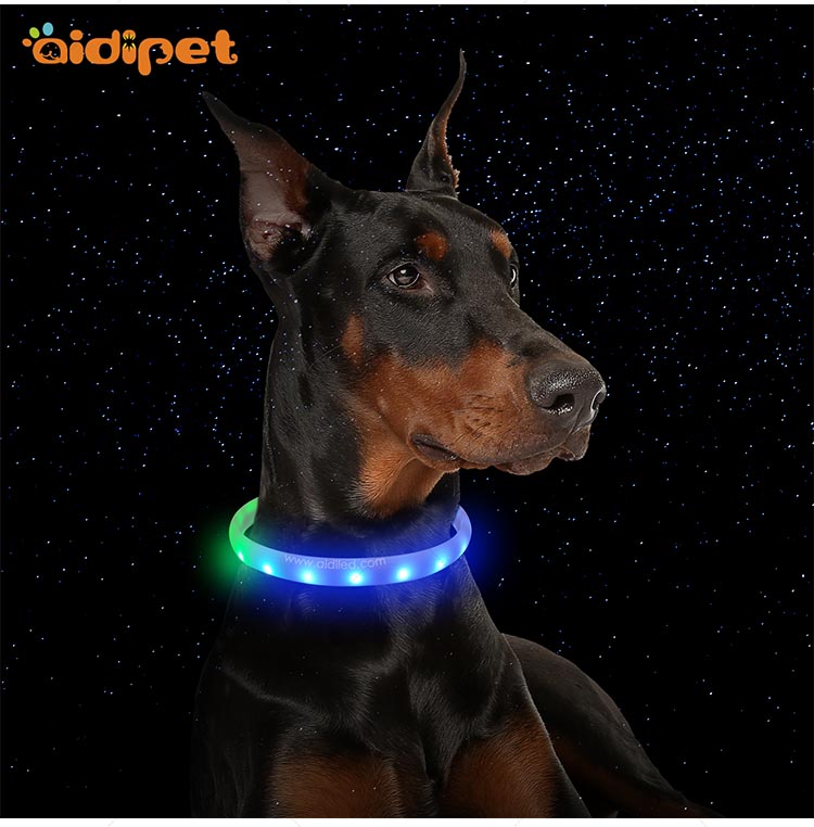 AIDI-Led Light Up Dog Collar, Fish Filament Rechargeable Led Dog Leash-7