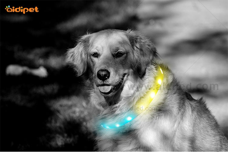 AIDI-Led Light Up Dog Collar, Fish Filament Rechargeable Led Dog Leash-8