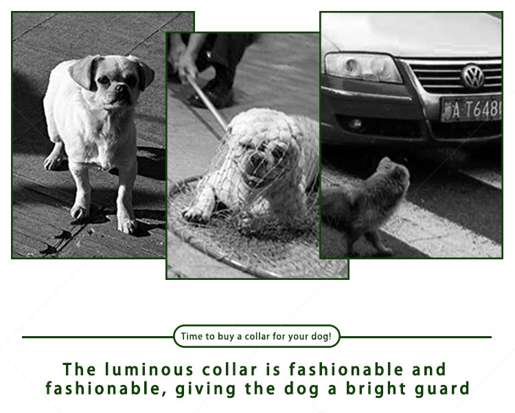 AIDI-Find Dog Collar Safety Light Aidi-c21 Wholesale Pet Dog Led-3