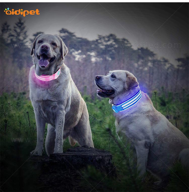 AIDI-Find Dog Collar Safety Light Aidi-c21 Wholesale Pet Dog Led-12