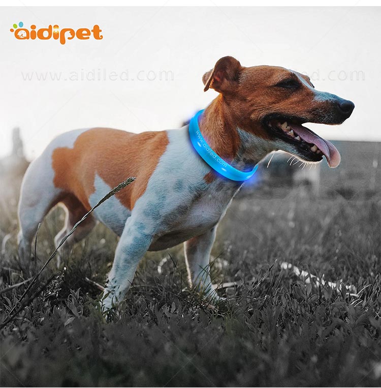 AIDI-Professional Waterproof Light Up Dog Collar Dog Collar With Light-7