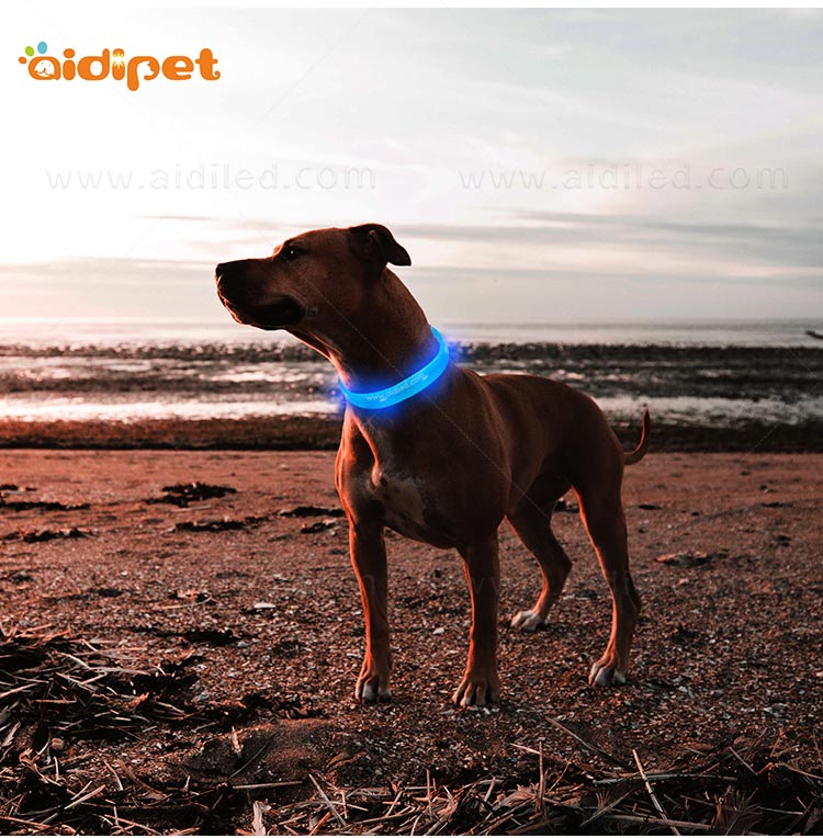 AIDI-Professional Waterproof Light Up Dog Collar Dog Collar With Light-8