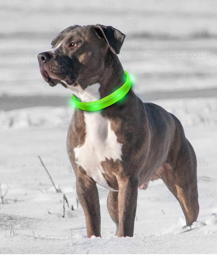 AIDI-Professional Waterproof Light Up Dog Collar Dog Collar With Light-6