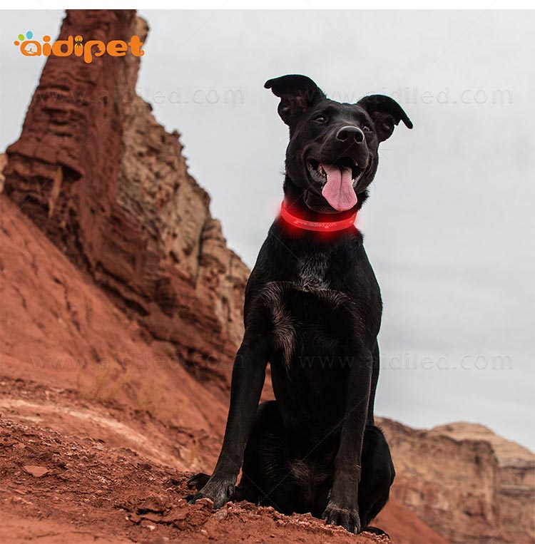 AIDI-Professional Waterproof Light Up Dog Collar Dog Collar With Light-9
