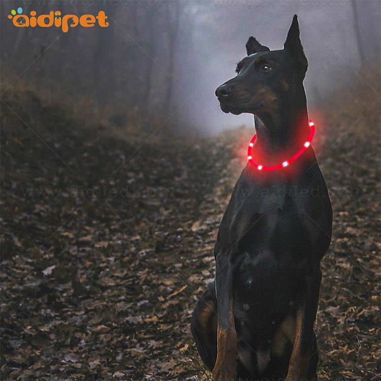 AIDI-High-quality Waterproof Light Up Dog Collar | Rechargeable Pet Collar-10