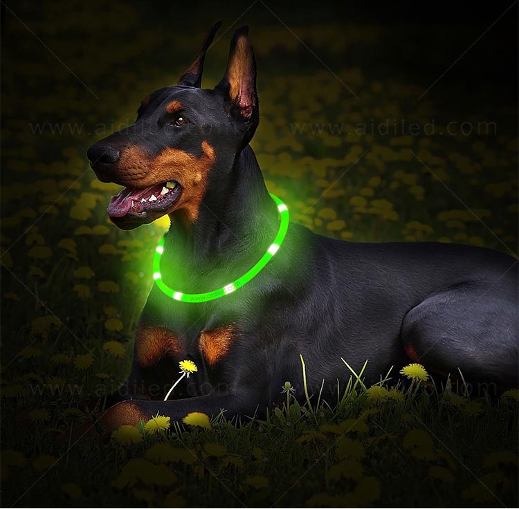 AIDI-High-quality Waterproof Light Up Dog Collar | Rechargeable Pet Collar-11