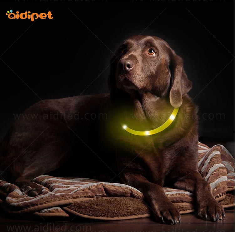 AIDI-High-quality Waterproof Light Up Dog Collar | Rechargeable Pet Collar-13