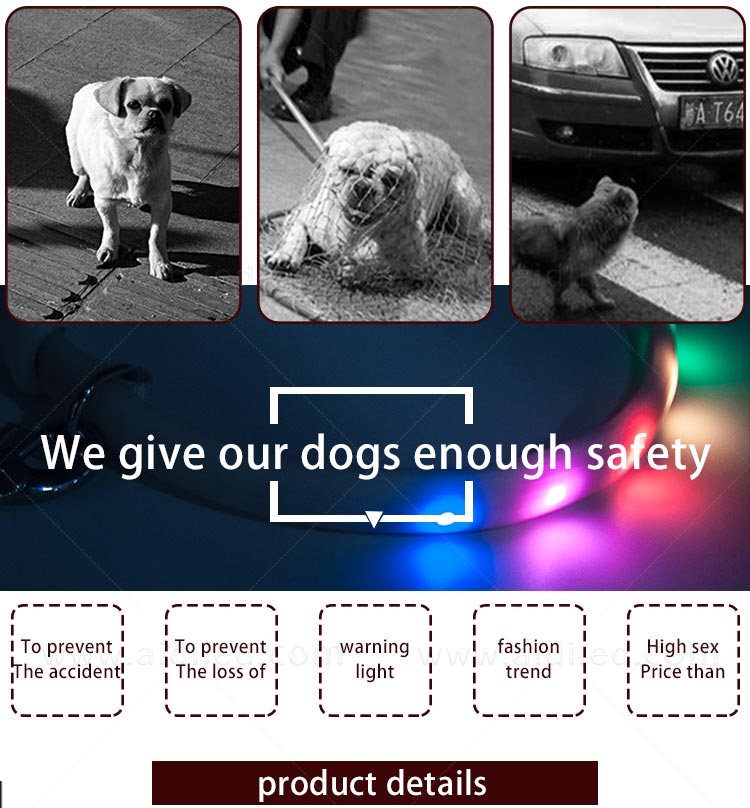 AIDI-Find Flashing Dog Collar Light Luminous Collars Dogs From Aidi-5