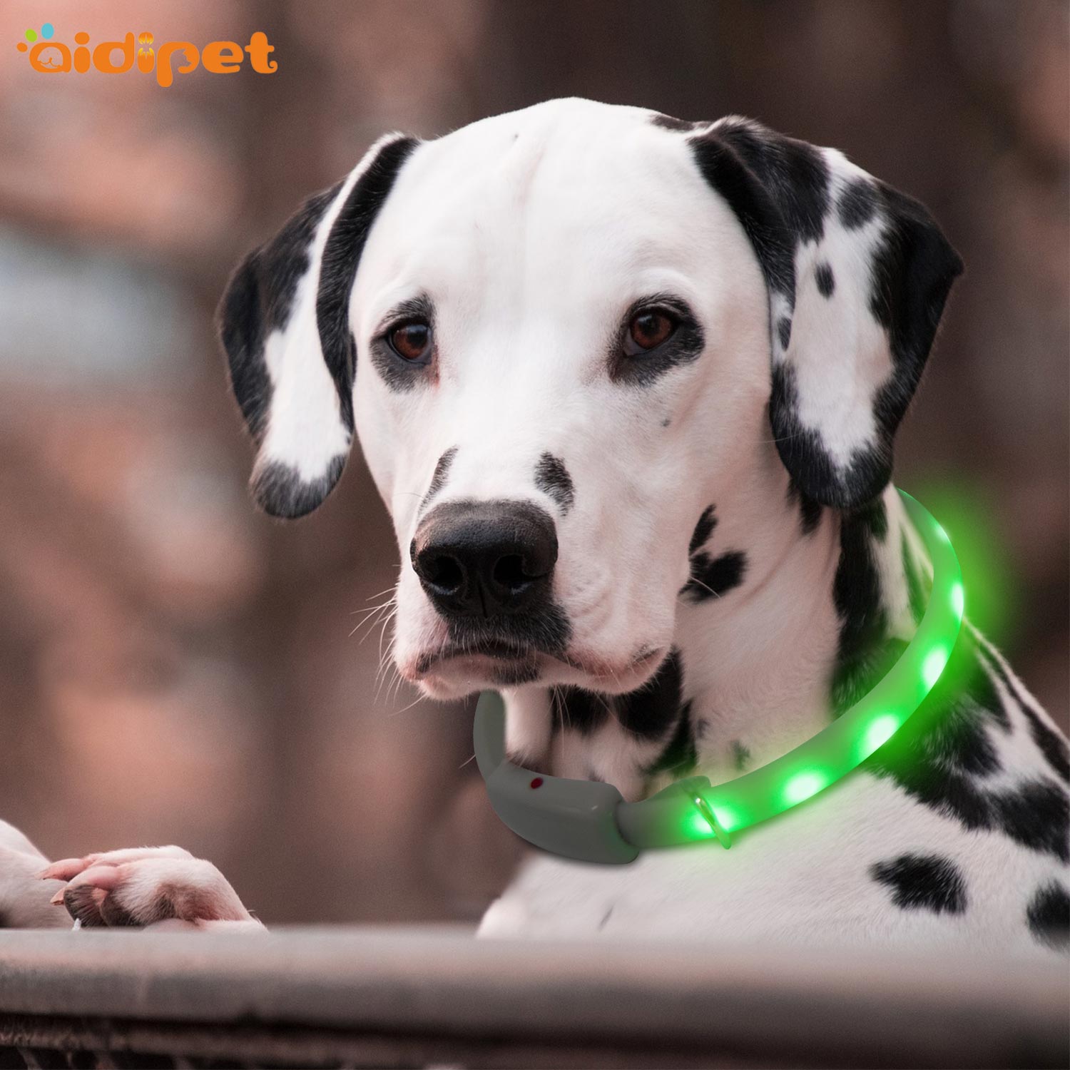 led RGB durable flashing dog collar light AIDI-C7S