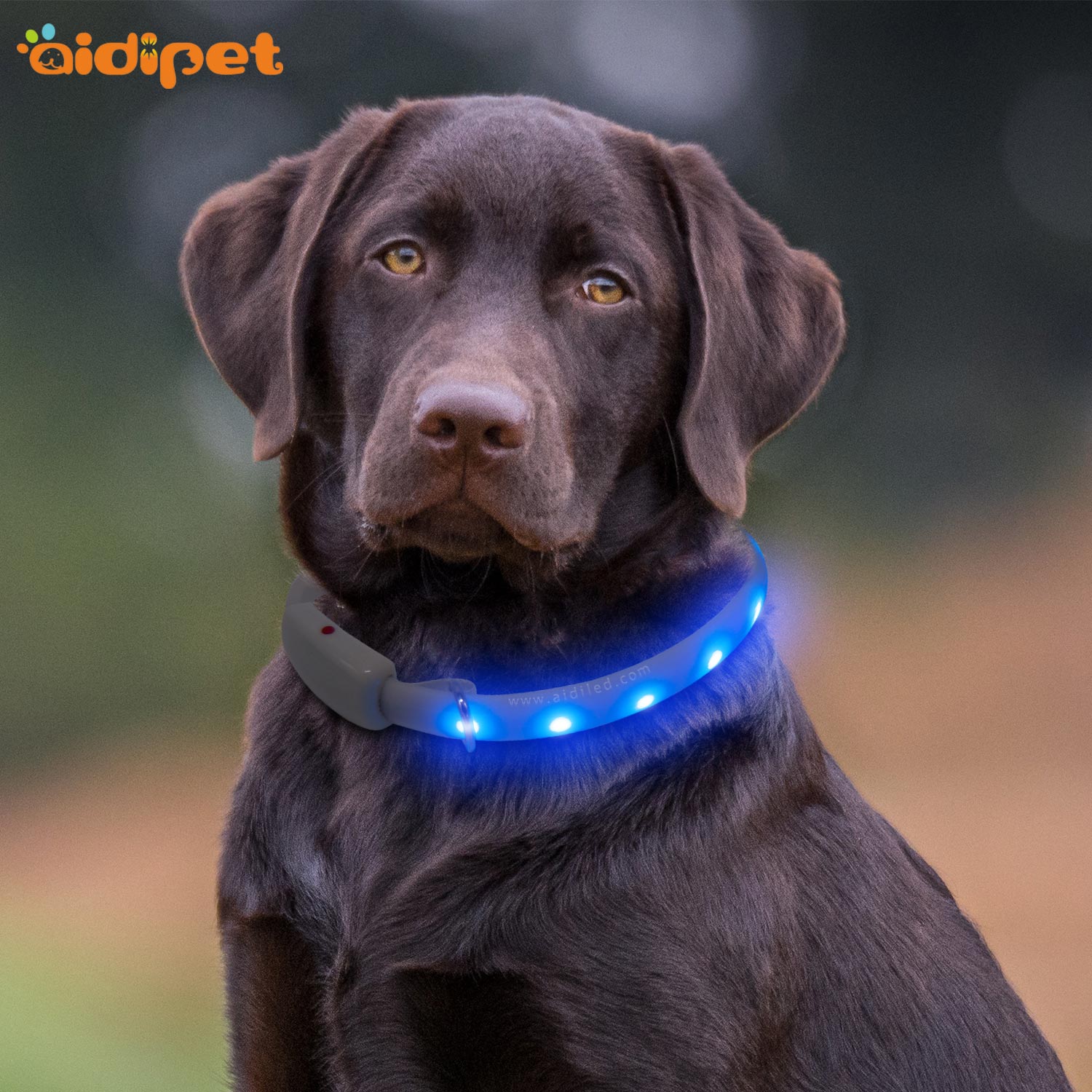 led RGB light up dog collar rechargeable AIDI-C7