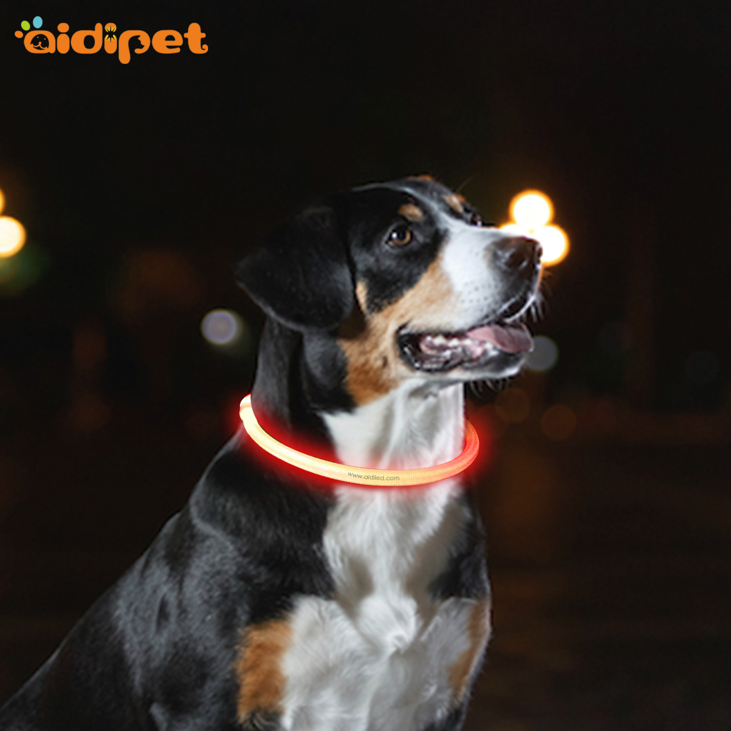 AIDI-C1 LED waterproof dog collar lights that light up at night