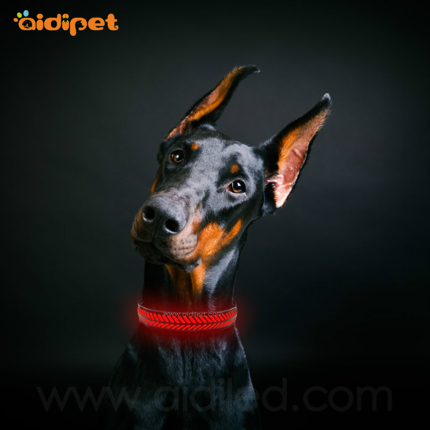 AIDI-C14 Rechargeable Flashing Led Dog Collar Safety Light