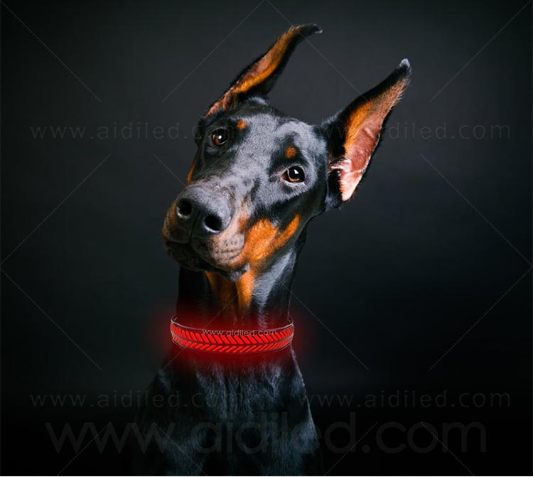 AIDI-Rechargeable Flashing Dog Collars LED Pets Collar-13