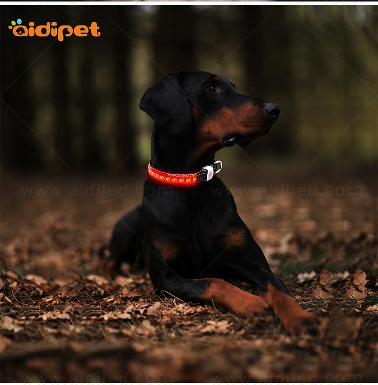 AIDI-Rechargeable Flashing Dog Collars LED Pets Collar-11