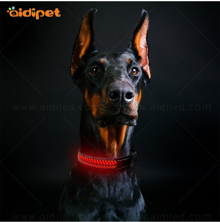 AIDI-Professional Rechargeable Lighted Dog Collars Light Up Dog Collars-12