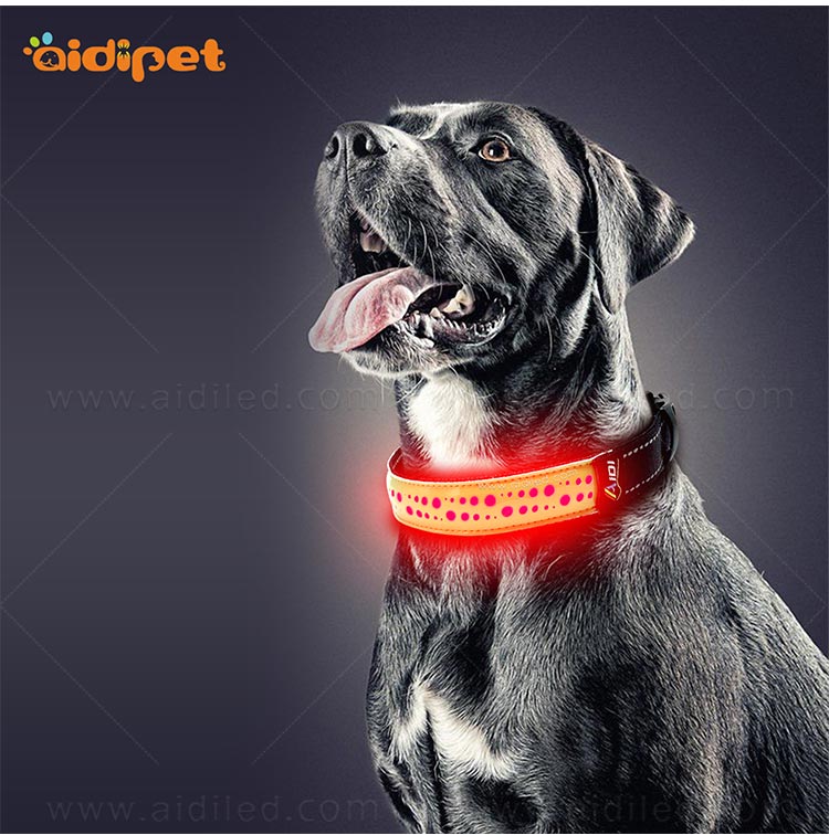 AIDI-Professional Rechargeable Lighted Dog Collars Light Up Dog Collars-14
