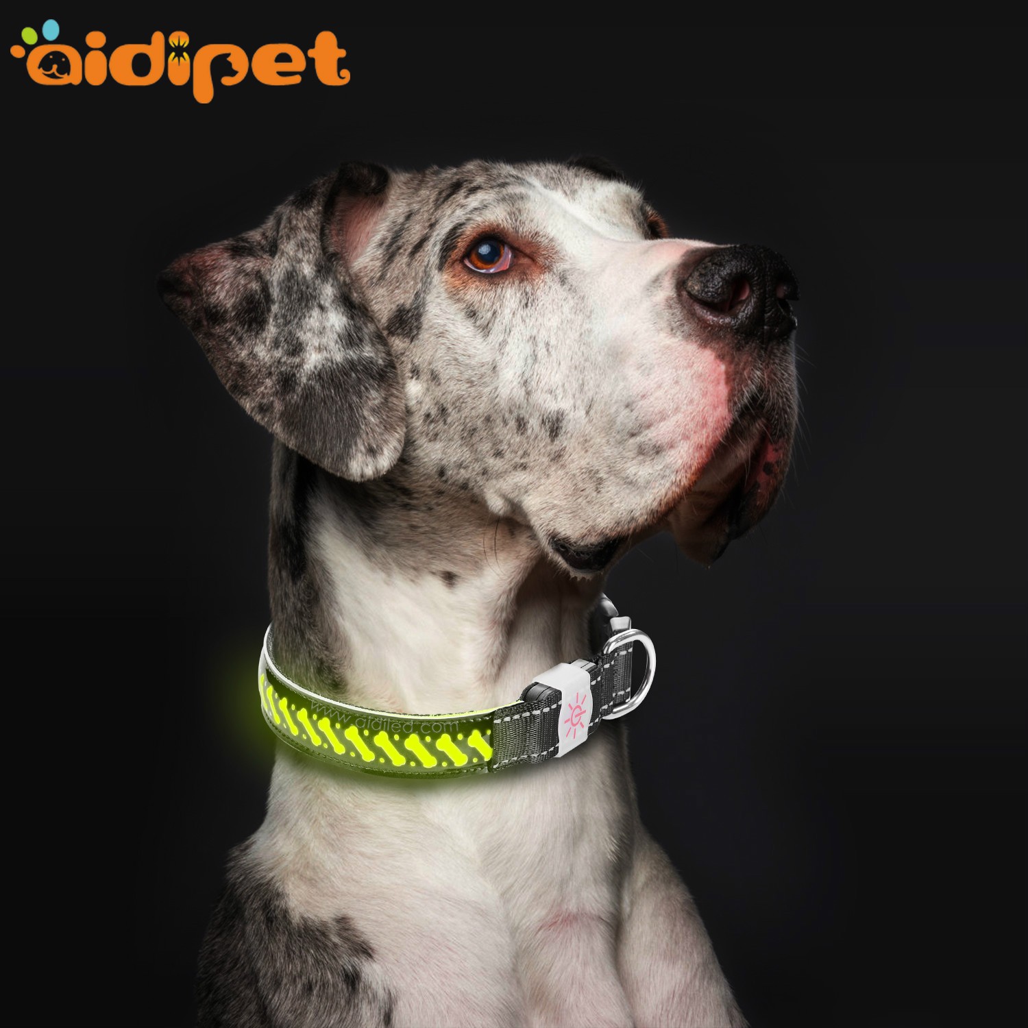 AIDI-Rechargeable Flashing Dog Collars LED Pets Collar-1
