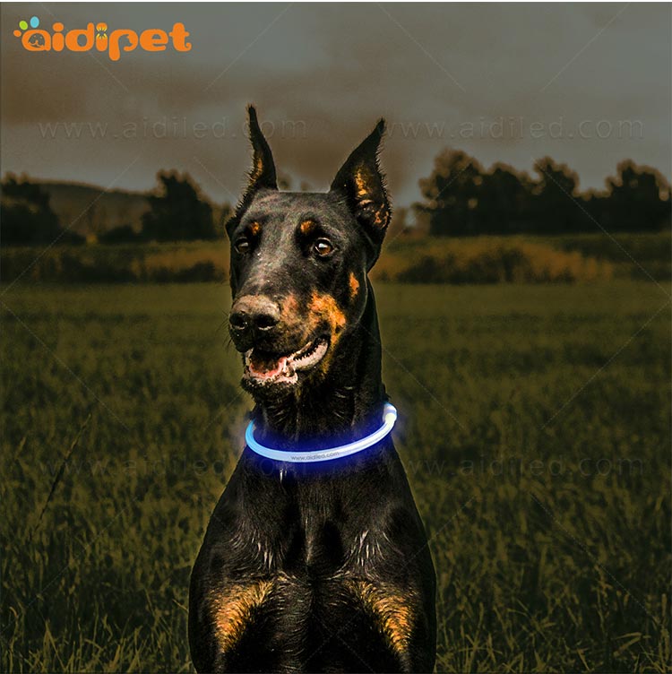 AIDI-Dog Collar Lights Waterproof Manufacture | Aidi-c1 Led Dog Collar-9
