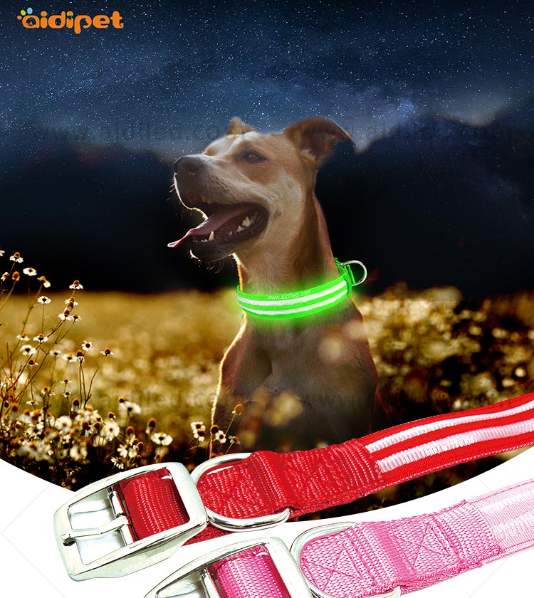 AIDI-High-quality Best Dog Collar Light | Glowing Dog Collar-2