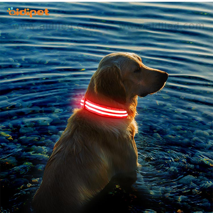AIDI-High-quality Best Dog Collar Light | Glowing Dog Collar-10