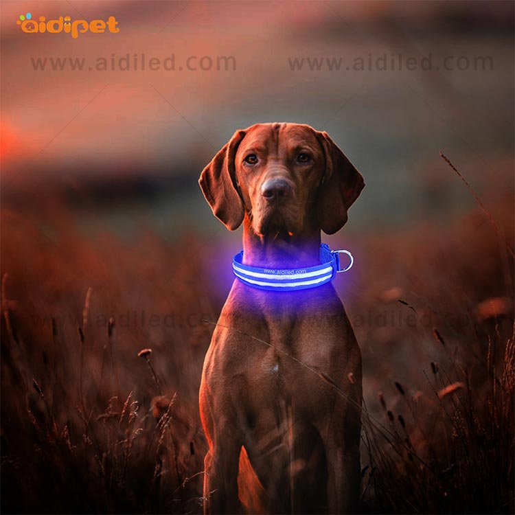 AIDI-High-quality Best Dog Collar Light | Glowing Dog Collar-9