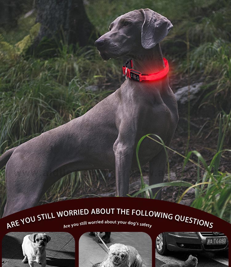 AIDI-Find Illusion Dog Collar Flashing Led Dog Collar Pendant Light-2