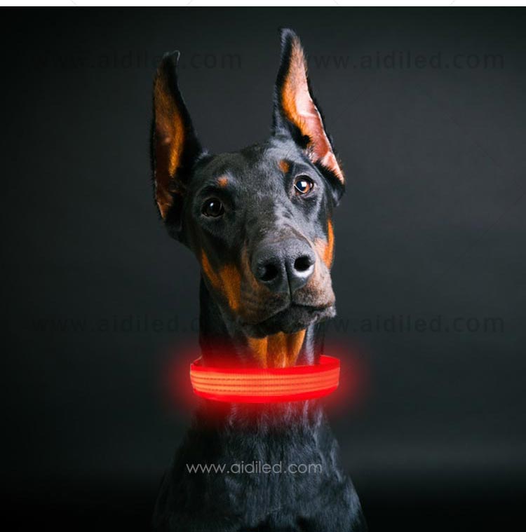 AIDI-Find Illusion Dog Collar Flashing Led Dog Collar Pendant Light-10