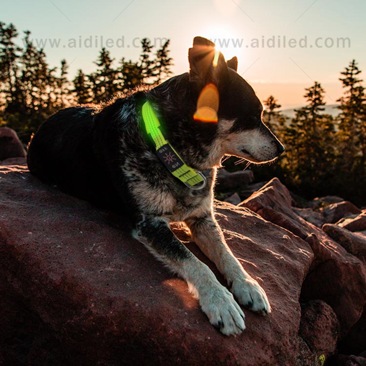AIDI-Find Illusion Dog Collar Flashing Led Dog Collar Pendant Light-11