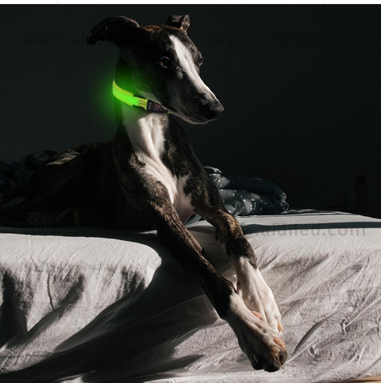 AIDI-Find Illusion Dog Collar Flashing Led Dog Collar Pendant Light-9