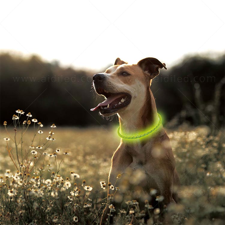 AIDI-Professional Flashing Dog Collar Light Small Dog Collar Light Supplier-12