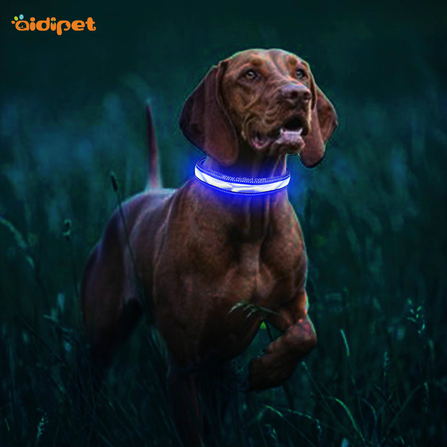 AIDI-Find Light Up Dog Collar Rechargeable Led Nylon Dog Collar-1