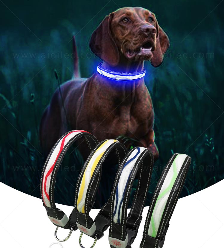 AIDI-Find Light Up Dog Collar Rechargeable Led Nylon Dog Collar-2