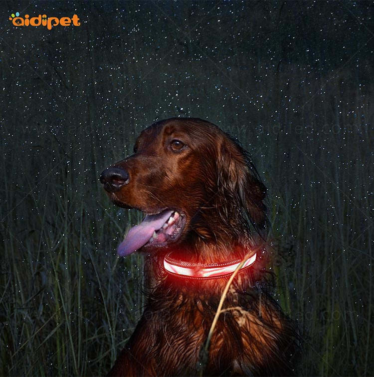 AIDI-Find Light Up Dog Collar Rechargeable Led Nylon Dog Collar-8