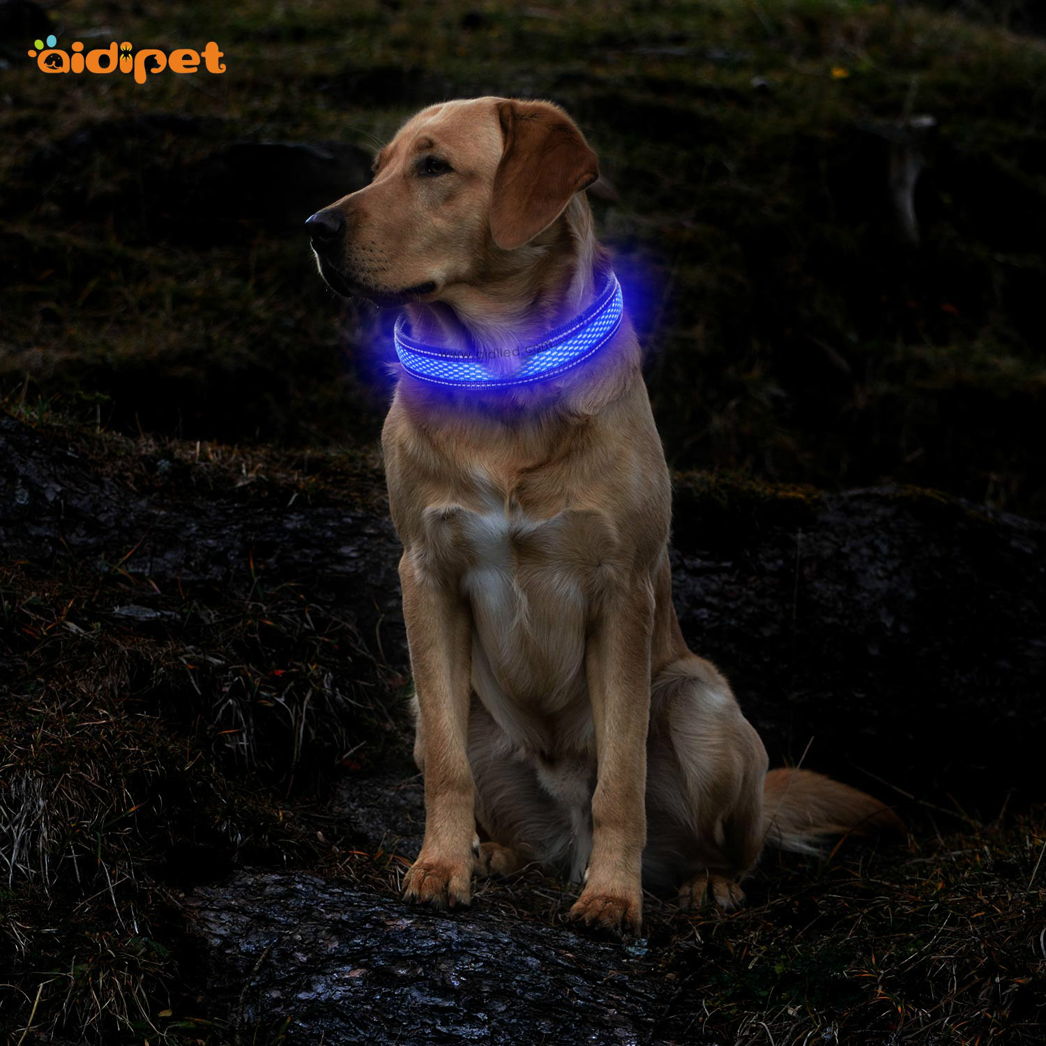 AIDI-C11 LED shining dog collar