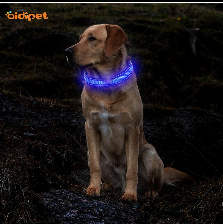 AIDI-Led Dog Collar Waterproof | Light Up Led Shining Dog Collar-11